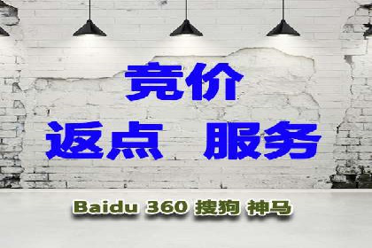 某电商平台的SEM服务全解析